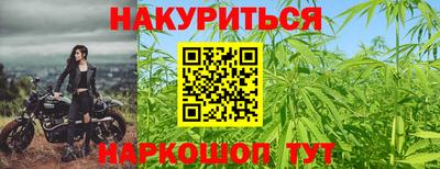 индика Апшеронск
