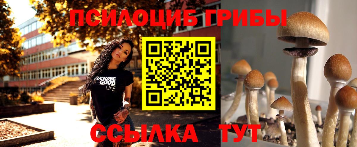 Псилоцибиновые грибы Psilocybine cubensis  Вход с VPN  Белогорск 