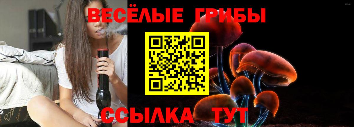 Галлюциногенные грибы мицелий Белогорск